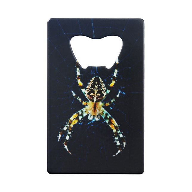 European Garden Spider bocna (Front)