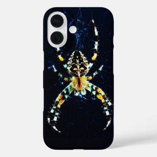 European Garden Spider iphcnm iPhone 16 Case