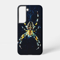 European Garden Spider sgcnm