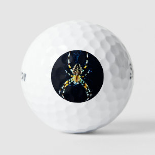 European Garden Spider ssf gbcna Golf Balls