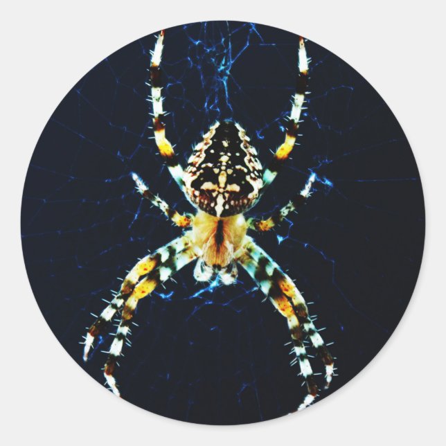 European Garden Spider stkcna Classic Round Sticker (Front)