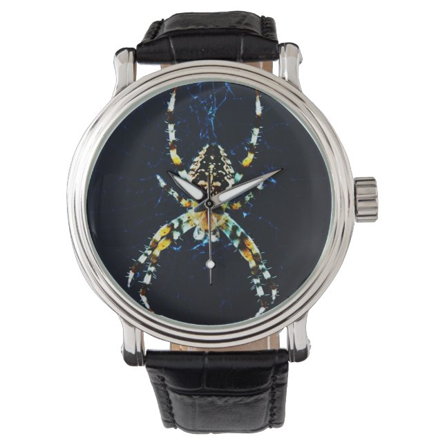 European Garden Spider waa Watch (Front)