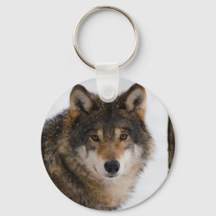 European grey wolf key ring