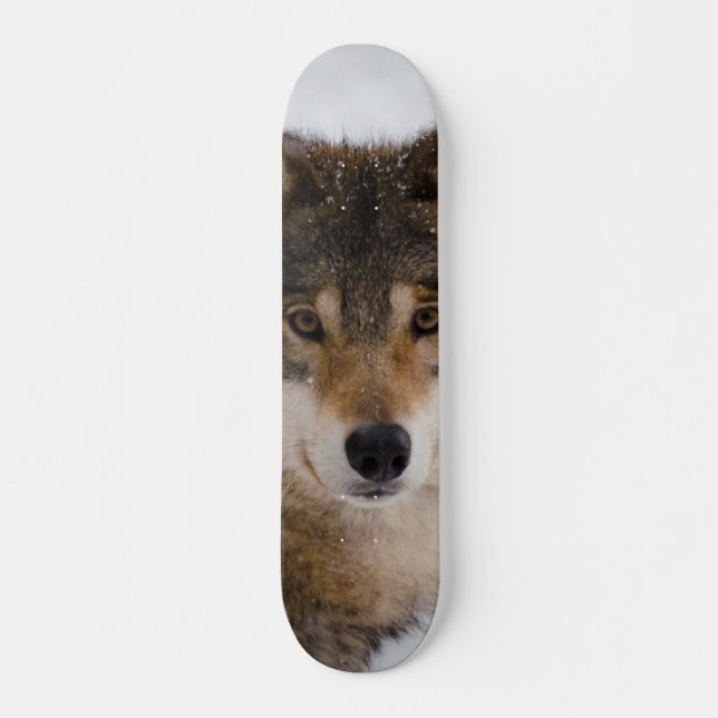 European grey wolf skateboard (Front)