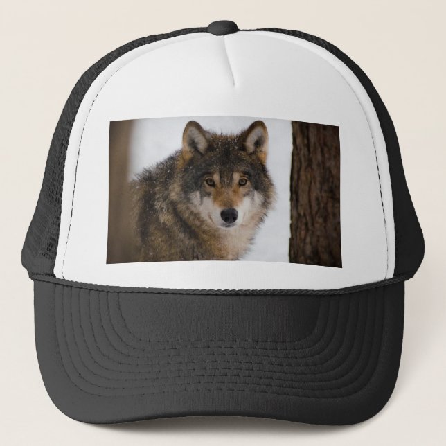 European grey wolf trucker hat (Front)