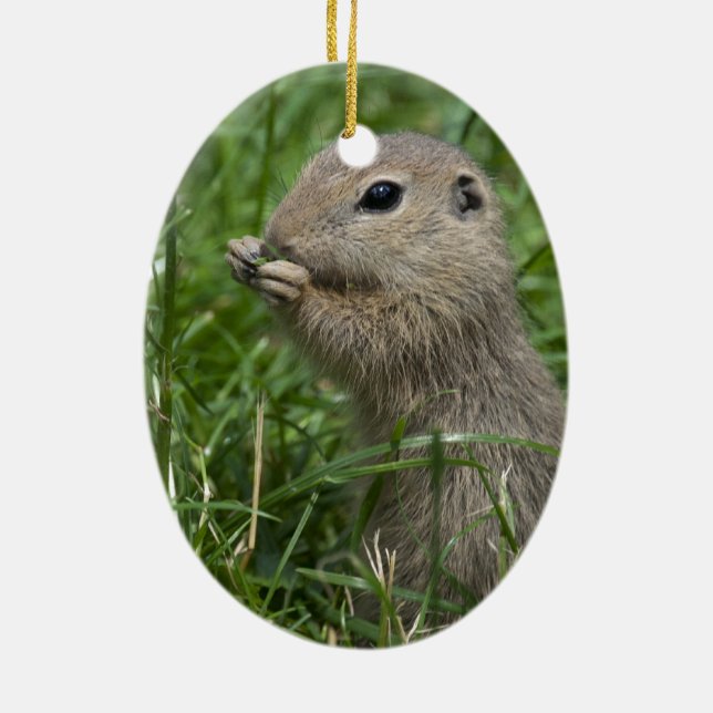 European ground squirrel ceramic tree decoration (Back)