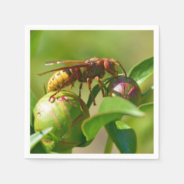 European hornet on bud flower napkin (Front)