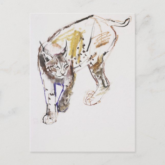 European Lynx Postcard (Front)