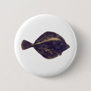 European Plaice 6 Cm Round Badge