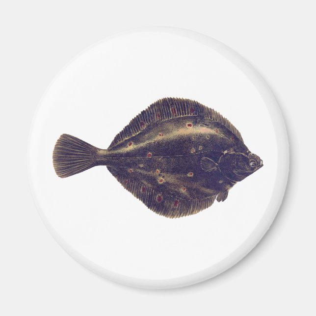 European Plaice Magnet (Front)
