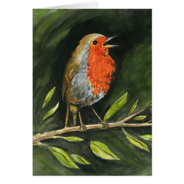 European Robin (Front)