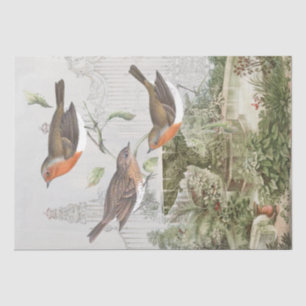 European Robin Bird Garden Vintage Decoupage Tissue Paper