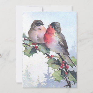 European Robin Bird Holly Christmas Vintage  Holiday Card