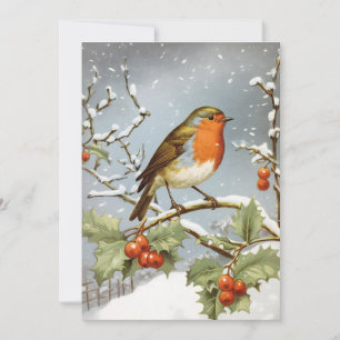 European Robin Bird Holly Snow Christmas Holiday