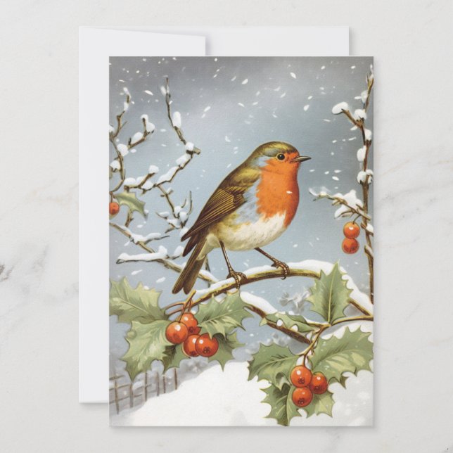 European Robin Bird Holly Snow Christmas Holiday Card (Front)