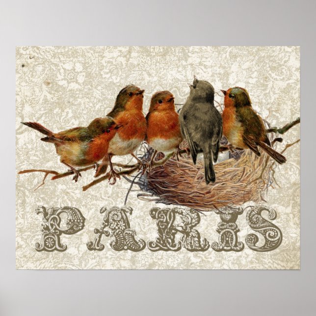 European Robin Birds Nest Paris Decoupage Vintage Poster (Front)