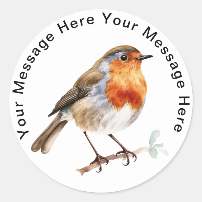 European Robin Classic Round Sticker (Front)