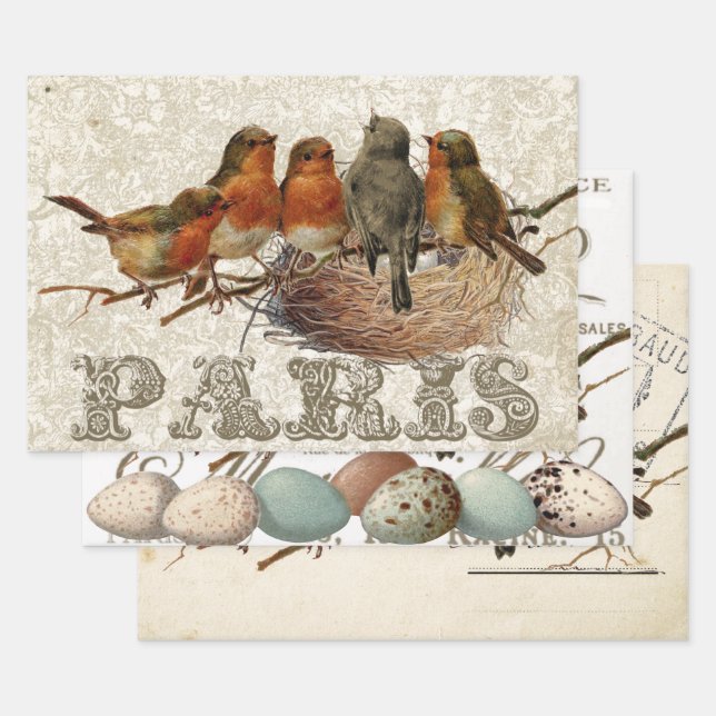 European Robin French Script Nest Egg Postmark Set Wrapping Paper Sheet (Set)