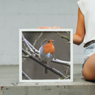 European Robin Red and Grey Painting Acrylic Print