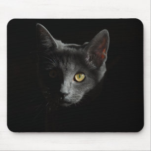 European Shorthair Black Cat Cat Portrait Mouse Mat