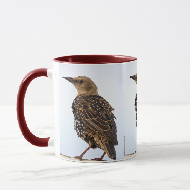 European Starling Bird Mug (Left)