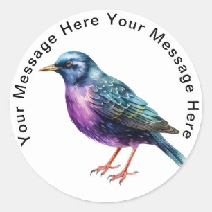 European Starling Classic Round Sticker