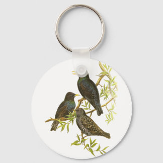 European Starling Key Ring
