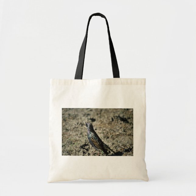 European Starling Tote Bag (Front)
