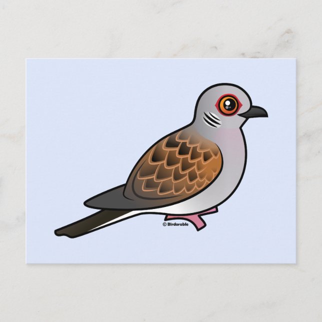 European Turtle Dove Postcard (Front)