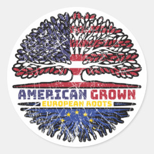European Union EU Europe US American USA United Classic Round Sticker