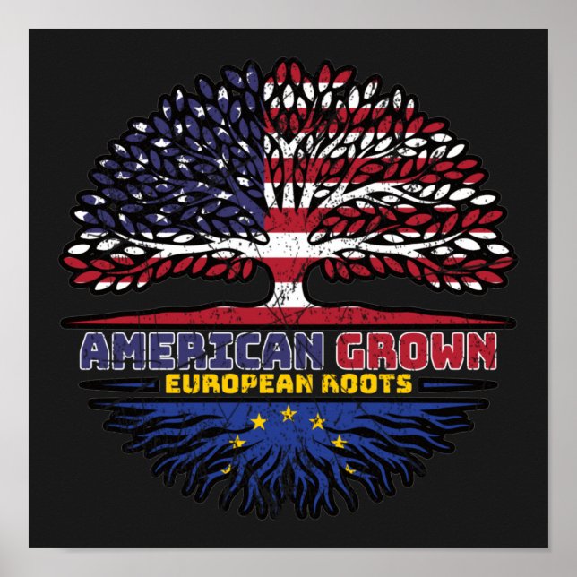 European Union EU Europe US American USA United Poster (Front)