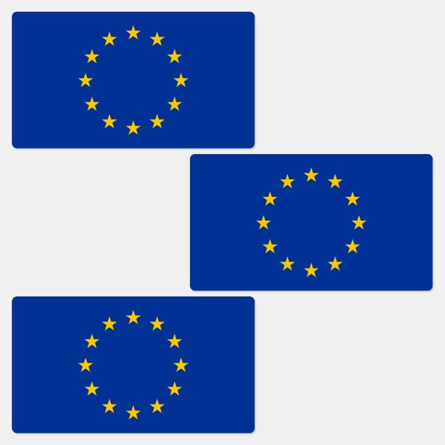 European Union Flag (Group)