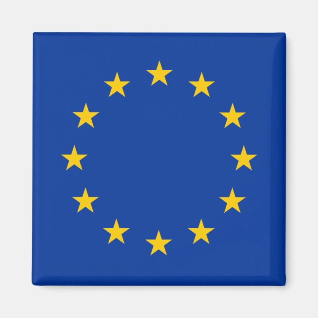 European Union flag Magnet (Front)