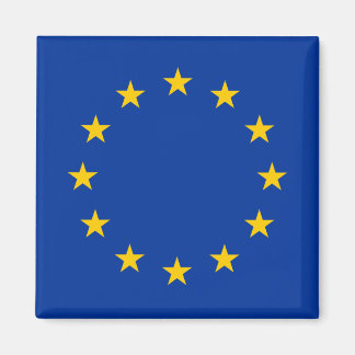 European Union Flag Magnet