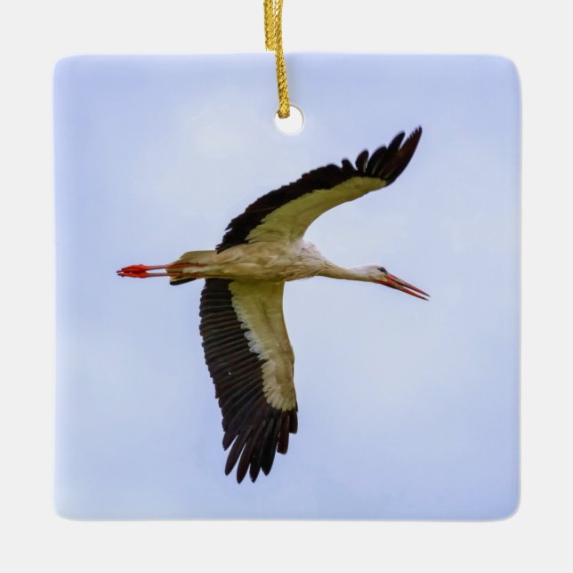 European white stork ceramic ornament (Front)