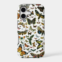 Europe's Best-Known Butterflies and Moths Collage