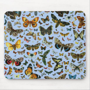 Europe's Best-Known Butterflies and Moths Collage Mouse Mat