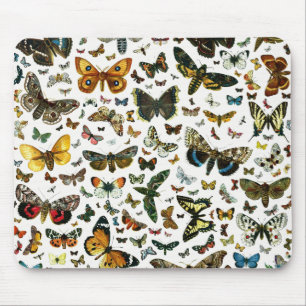 Europe's Best-Known Butterflies and Moths Collage Mouse Mat