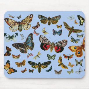Europe's Best-Known Butterflies and Moths Collage Mouse Mat