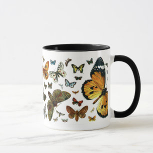Europe's Best-Known Butterflies and Moths Collage Mug