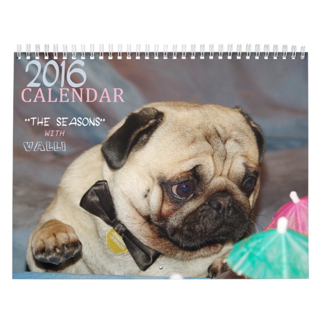 Europug Calendar 2016 "The Seasons with Valli" (Cover)