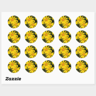 Euryops Daisy [Round Seal] Classic Round Sticker