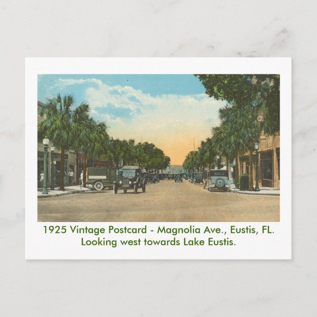 Eustis, FL - Magnolia Ave - 1925 Postcard (Front)