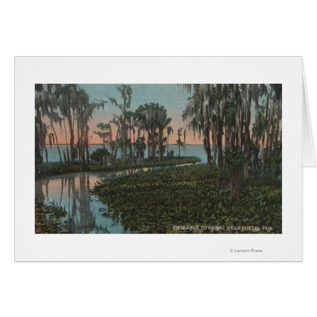 Eustis, Florida - View of Swampy Canal (Front Horizontal)