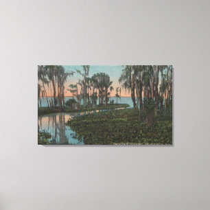 Eustis, Florida - View of Swampy Canal Canvas Print