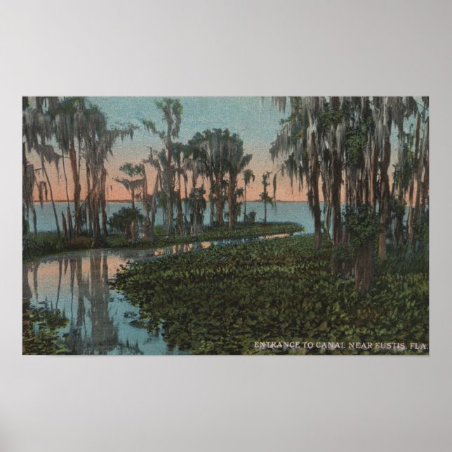 Eustis, Florida - View of Swampy Canal Poster (Front)