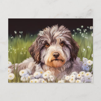 evacuation model with daisy postcard