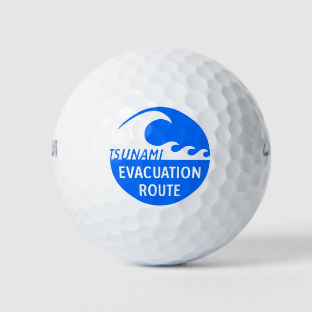 Evacuation Route Highway sign Golf Balls (Front)