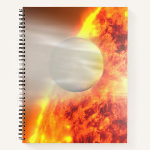 Evaporation Of Hd 189733b's Atmosphere Notebook