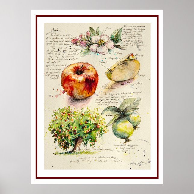 EVE Painted  Illustration of Apple       Poster (Front)